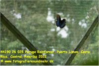 44190 26 025 Veruga Rainforest, Puerto Limon, Costa Rica, Central-Amerika 2022.jpg